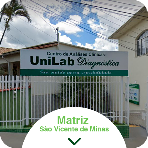 matriz, são vicente.png